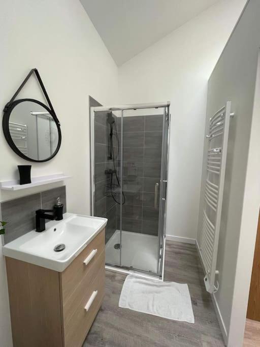 Maison Les Iris - 3 Chambres Et 3 Salles De Bain - 3 A 6 Personnes - Futuroscope Avanton Buitenkant foto